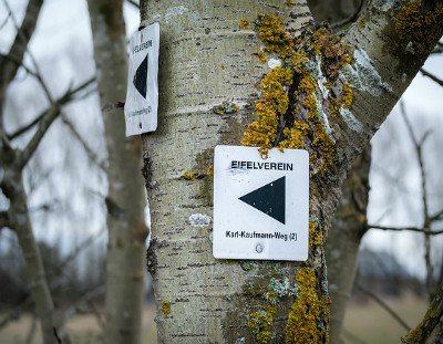 Veranstaltungen in unserer Nähe